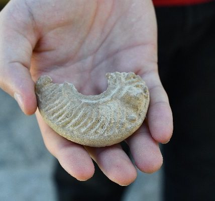 Unique 1,600-yr-old Roman oil lamp unearthed by Israeli student in Negev Desert